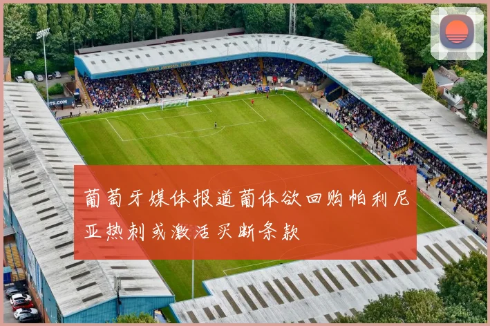 葡萄牙媒体报道葡体欲回购帕利尼亚热刺或激活买断条款